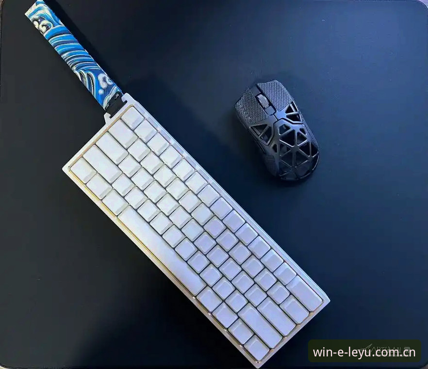 乐鱼体育平台中文官方站电竞赔率数据安装失败：用户实测报告与最新动态